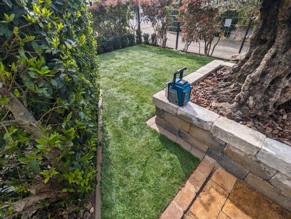 Werkzeugkoffer neben altem Baum.