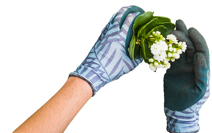 Blumen pflanzen mit Gartenhandschuhen.
